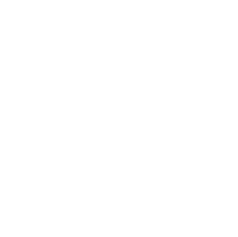 logo-Roi-Collective